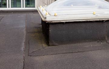 disadvantages of Sgeir Iosal flat roofs