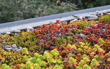 the cost of Sgeir Iosal green roof installation