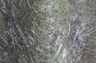 Sgeir Iosal fibreglass roof work